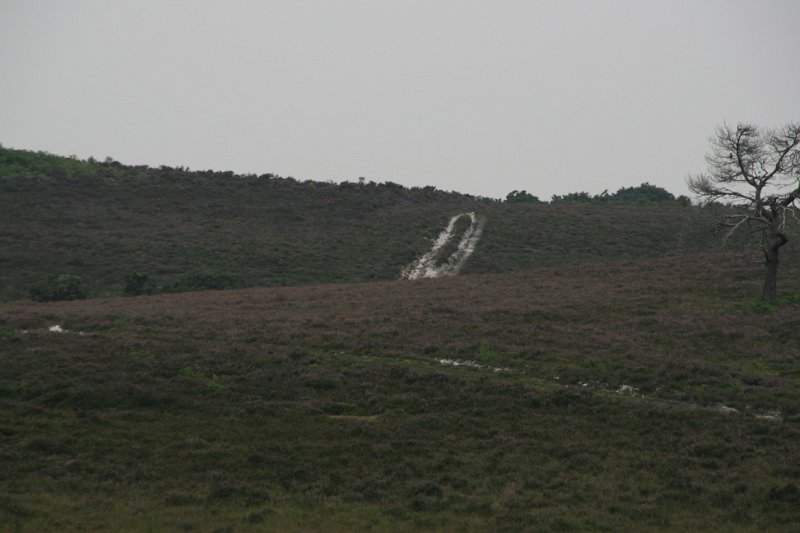 Engeland zuiden (o.a. Stonehenge) - 088
